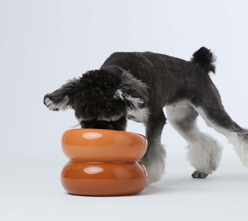 The Canine Table